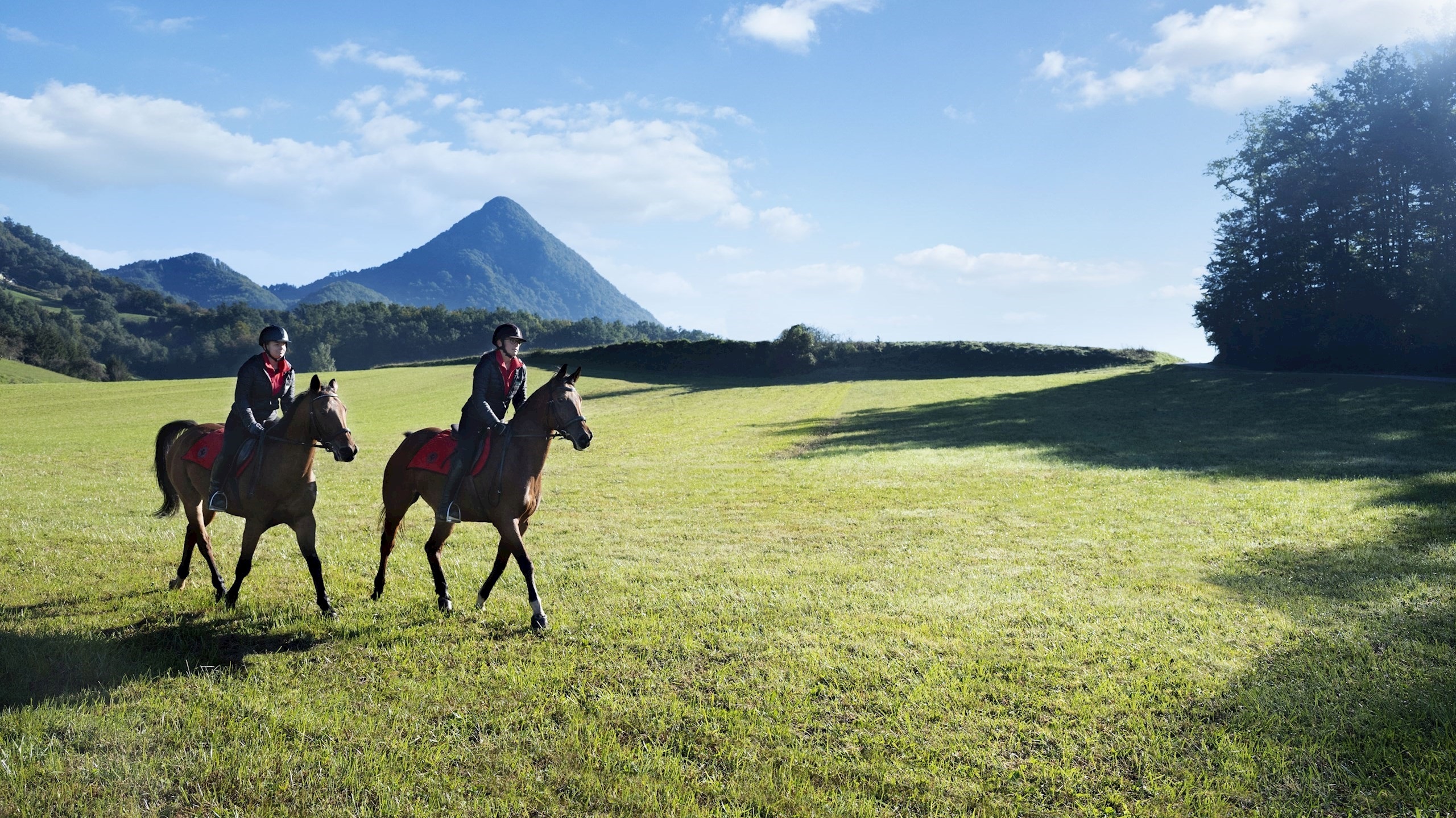 dva jahača na konjih na travniku